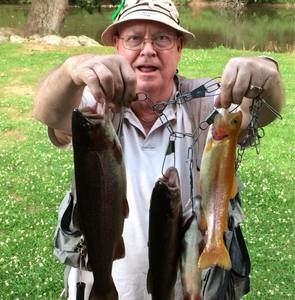 Meet your Posher, Pamela